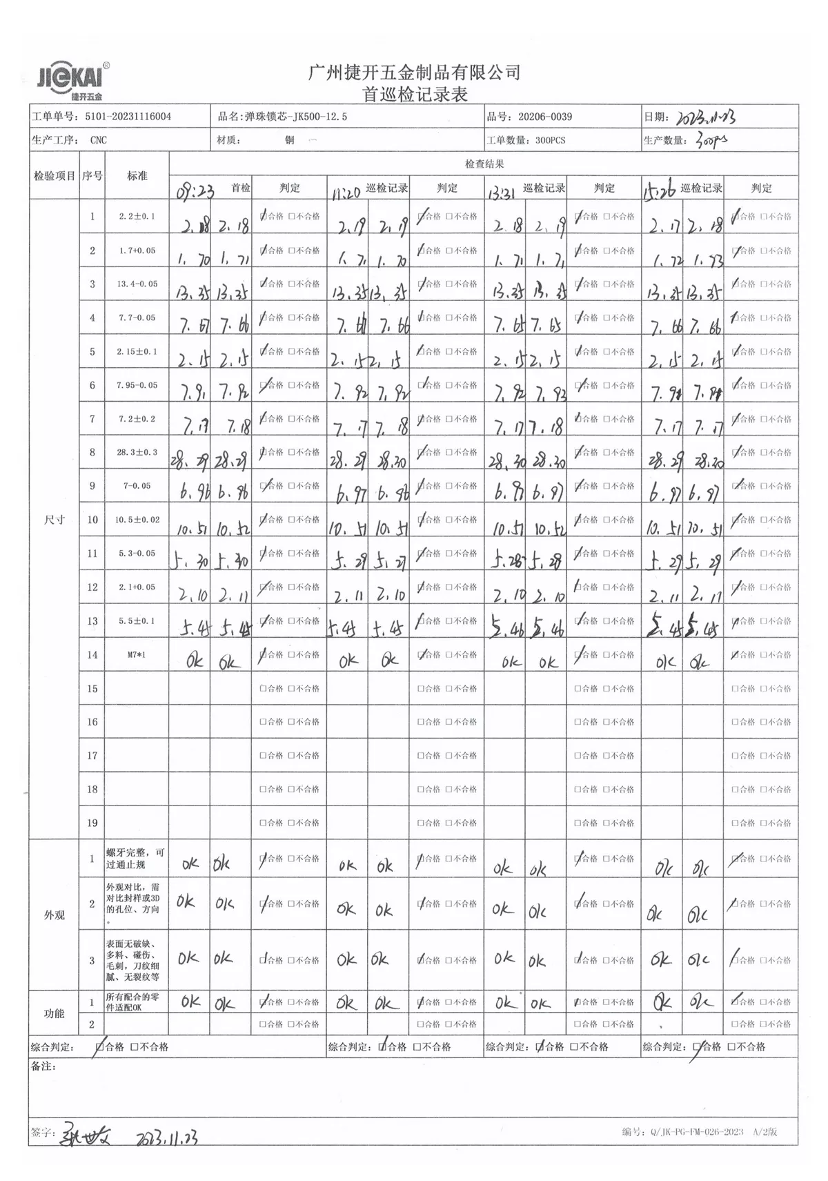 First inspection report